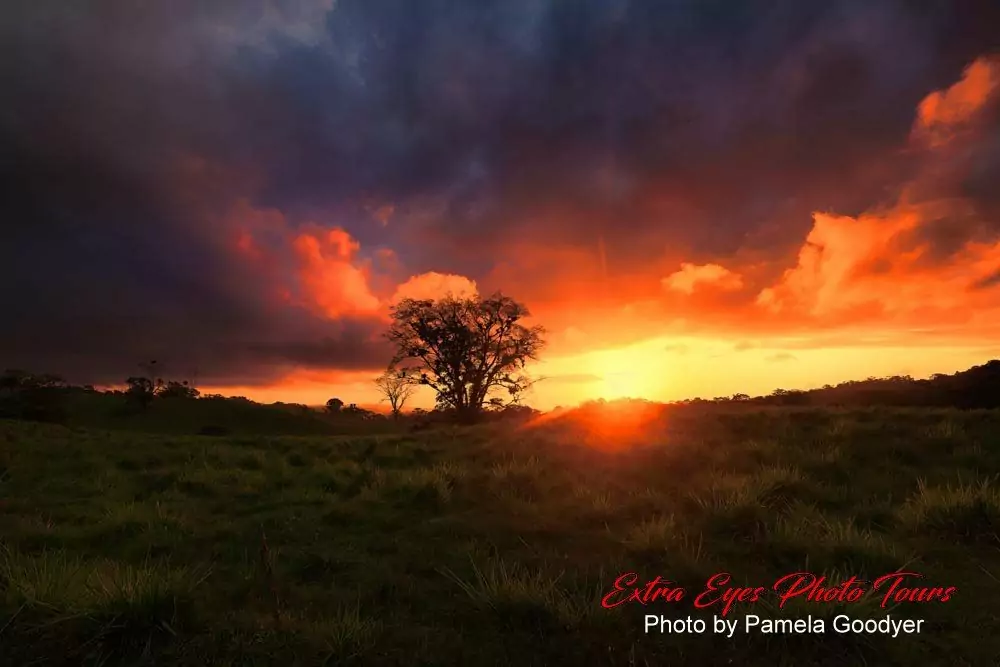 REPLACE COSTA RICA SUNRISE PHOTO TOUR IMAGES1000/97