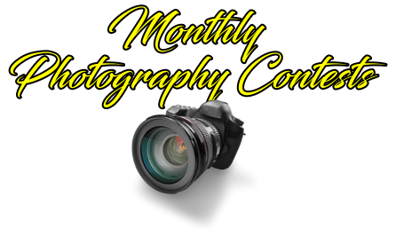 monthly photo contest