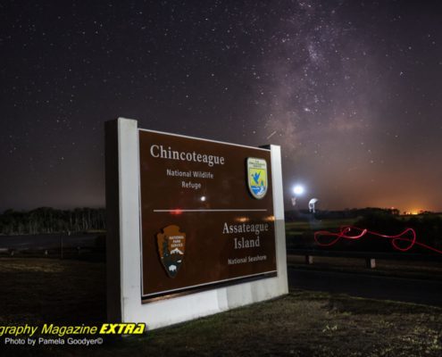 Chincoteague Island Photography main entrance sign with the milky way in the background