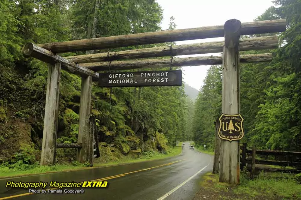 G Mount Rainier National Park entrance picture in the rain with green foliage