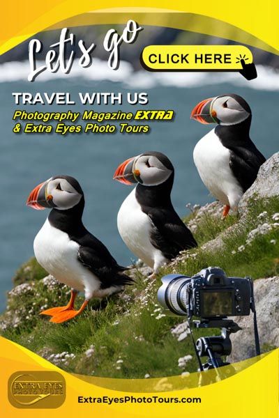 Extra eyes photo tour travel with us. Let's go with puffins on the color in a camera. Photography tours.