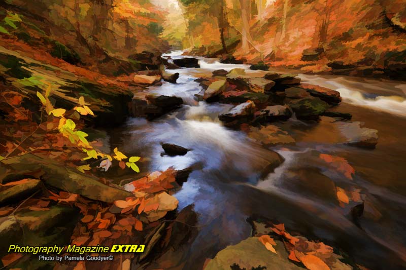 Ricketts Glen State Park fall foliage with milky flowing waters. and bright orange yellow colors.