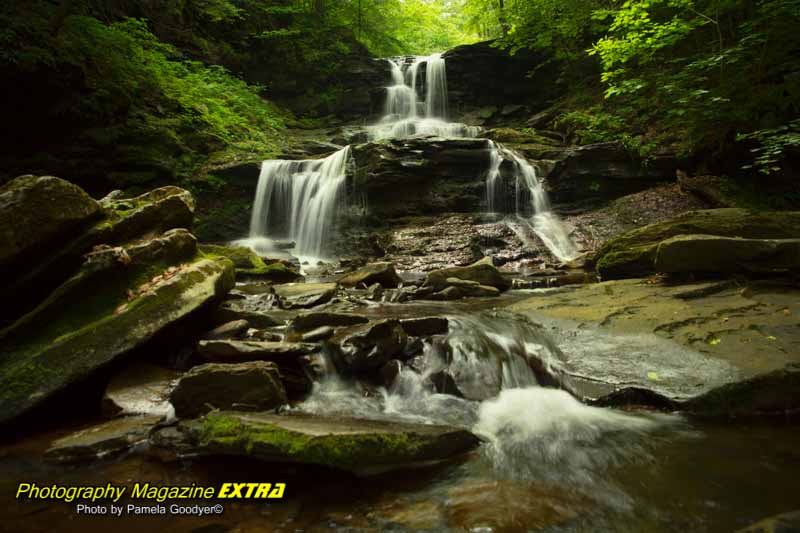 Ricketts Glen State Park Spring brings green colors with a large waterfall.