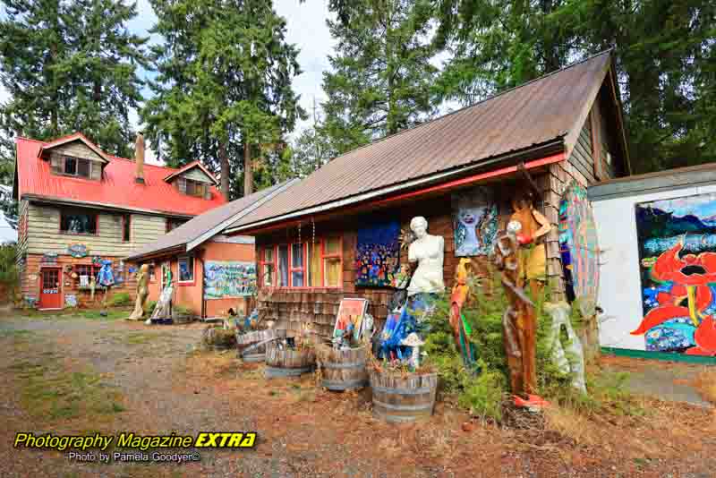 Brian Scott Gallery Vancouver Island 1 of 1